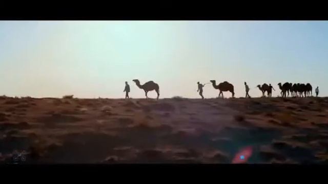 мой Самарканд ♥️ смотреть онлайн