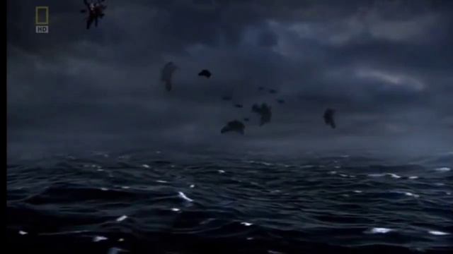 Bismarck (Sleeping Sun) смотреть онлайн