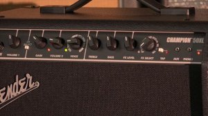 Fender Champion 50XL Guitar Amp DEMO and Features
