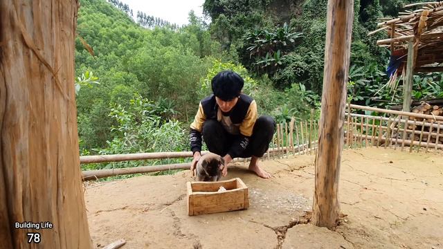 Expanding the simple model of free-range chicken farming, Building Life, Episode 78 смотреть онлайн