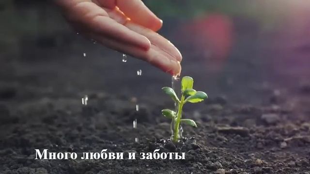 Фитолампа || ЭРА FITO-12W-RB-E27 смотреть онлайн