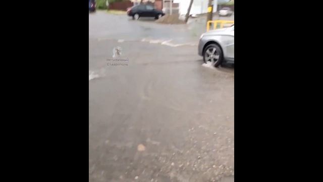 Караси поплыли по улицам Ставрополя смотреть онлайн