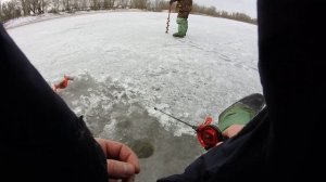 Рыбалка, берш на мотыля