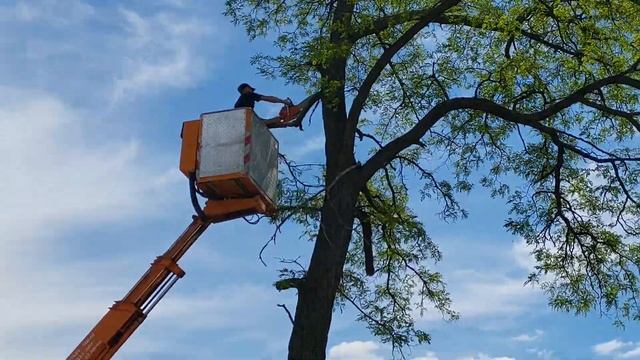 //Трошки підсобив другу електрику,який бїться висоти//Зарядився на місяць//Супер авто вишка мерс// смотреть онлайн