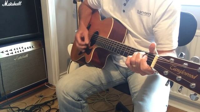Electro Harmonix MEL 9 Song examples/ideas смотреть онлайн