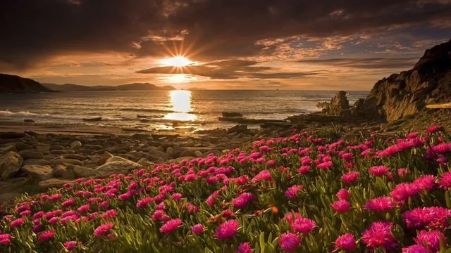 Китайская музыка от депрессии, стресса и усталости для медитации и релаксации смотреть онлайн