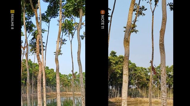 Redmi Note 11 Vs Realme 8 CAMERA COMPARISON⚡Best Phone Under 15K?