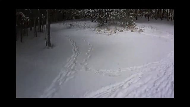 Fpv flight | Полёт от первого лица смотреть онлайн