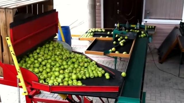 сортировочная линия для Яблок с опрокидывателем смотреть онлайн