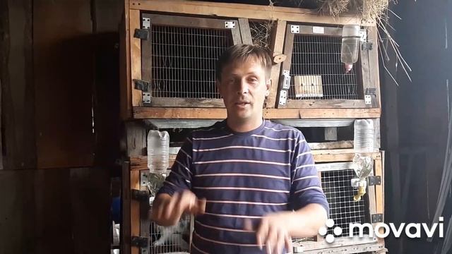 Почему не рекомендуется покупать маленьких крольчат. смотреть онлайн