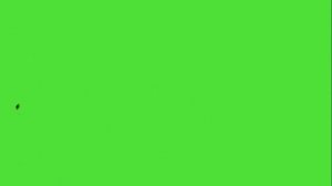 Футаж HD. Брызги крови сбоку, хромакея