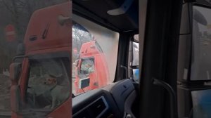 Вот они, настоящие дальнобойщики. Вся жизнь в дороге!