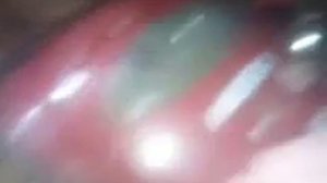 Обзор пылесоса LG Storm Extra V-C3032RB