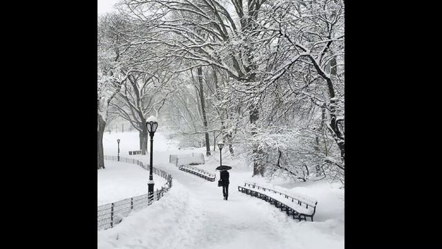New York City on Instagram смотреть онлайн