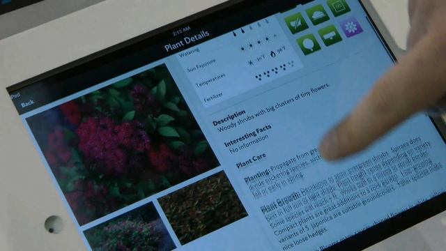 Flower Power: если вы забываете поливать цветы