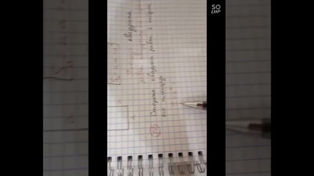 Площадь прямоугольника и квадрата.Примеры задач смотреть онлайн