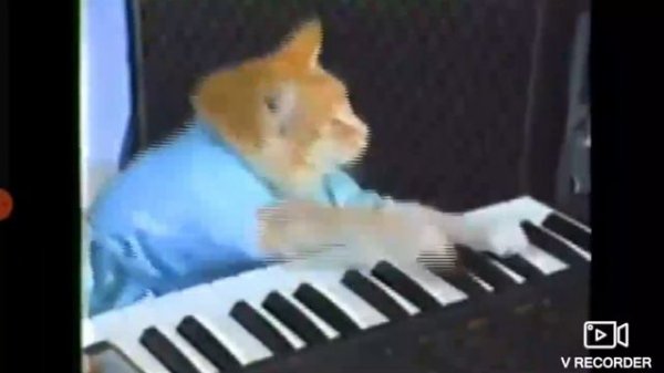 Keyboard Cat MEME Оригинал