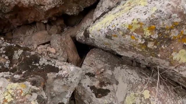 Define kaplumbağa işareti koltuk işareti mahsen oda girişi çözümü !! смотреть онлайн