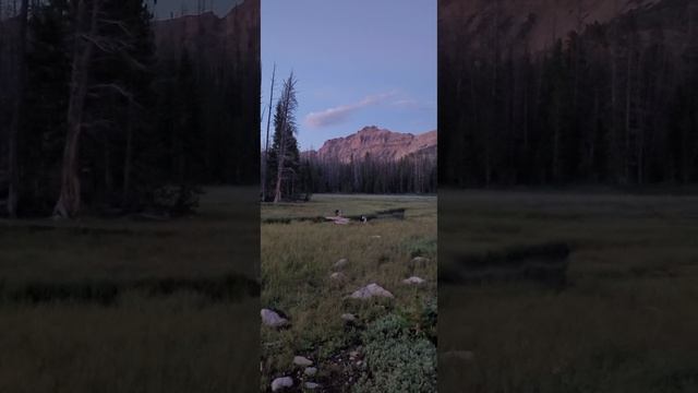 AUSSIE PUPS - NOKI AND NAULI NAJA #dog #puppy #mountains #lake #hiking #hikingadventures #bridge смотреть онлайн