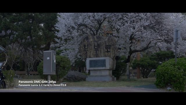Panasonic DMC-GH4 24fps Panasonic Lumix G X Vario 12-35mm f/2.8 смотреть онлайн