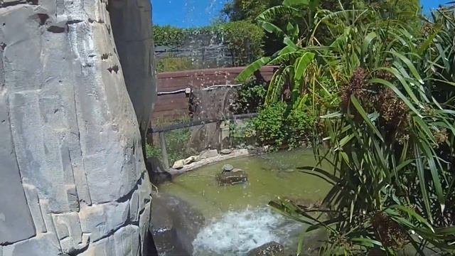 Mini waterfall, Selwo Marina Delfinarium, Málaga, Spain, Benalmádena смотреть онлайн