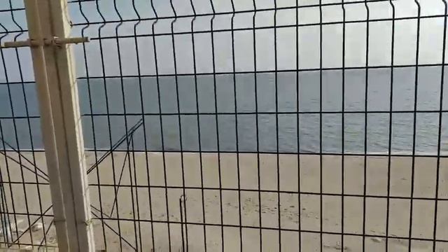 Люди отозвались и вернули 3 голубя, а один ищет своего хозяина.... смотреть онлайн