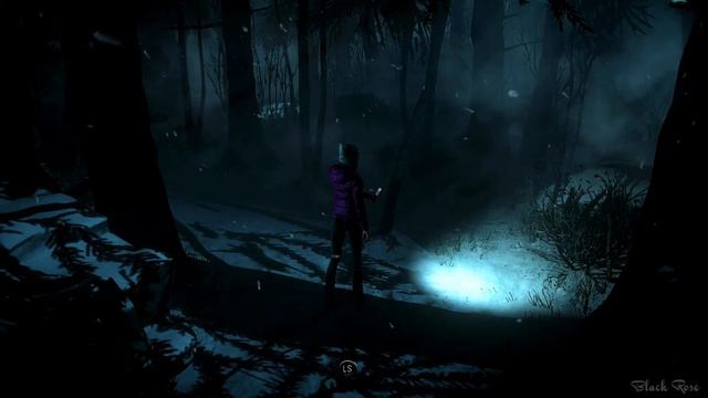 ASMR Relaxing Dark Forest Ambient, UNTIL DAWN Ambience For Relaxing, Study, Sleeping. смотреть онлайн