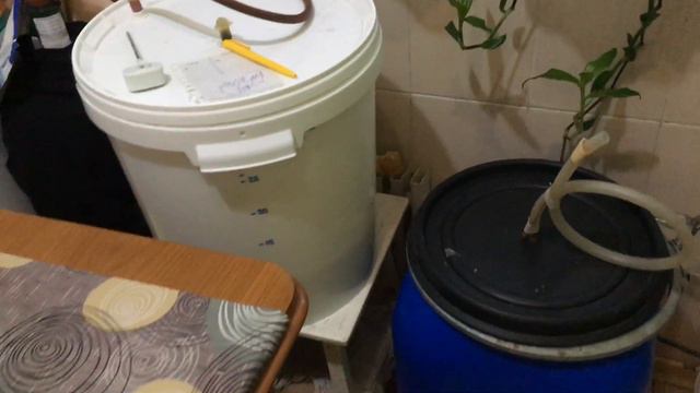 Кукурузный дистиллят.Декабрь 2019 смотреть онлайн