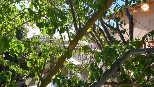 SETE, VILLA VUE MER ET PISCINE INTERIEURE смотреть онлайн