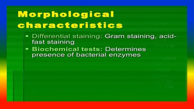 TAXONOMY OF MICROORGANISMS смотреть онлайн
