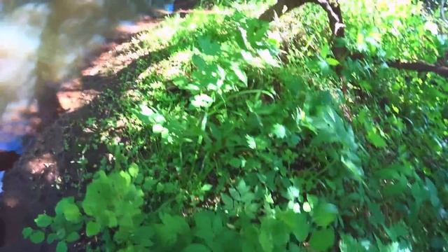 ТА САМАЯ МИКРОРЕЧКА! ЧТО ТУТ СПУСТЯ ДВА ГОДА ? Ловля щуки на спиннинг! Рыбалка в июне 2022! смотреть онлайн