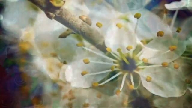 Таня денисова смотреть онлайн