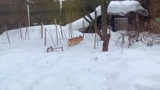 НУ МАНЮНЯ ? Снова оказался на крыше! Забрали Холодильник |VLOG смотреть онлайн