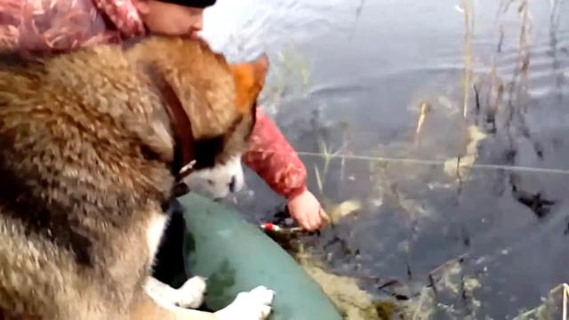 Немного о рыбалке смотреть онлайн