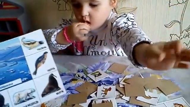 Настольная игра для детей от 3-х лет Детское лото Кто где живет? смотреть онлайн