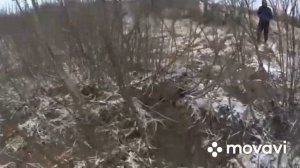 Рога лося.Неплохой день. Закрылись 5 рогами.