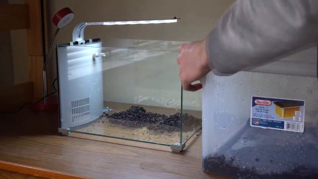 Что нужно для запуска аквариума?