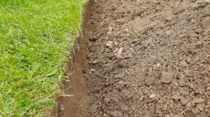 БОРДЮРНАЯ ЛЕНТА в саду: Плюсы/минусы, ОШИБКИ использования.