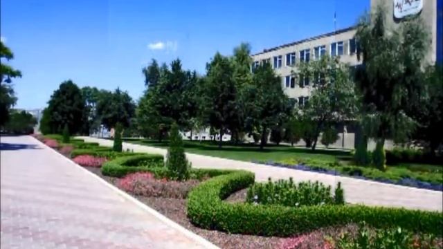 2015 КИПиА смотреть онлайн