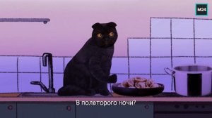 Переходим на правильное питание | Кот Бублик