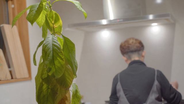 雪に埋もれた小屋の雪下ろし｜アナゴの押し寿司と玄米朝食｜田舎暮らしのVlog