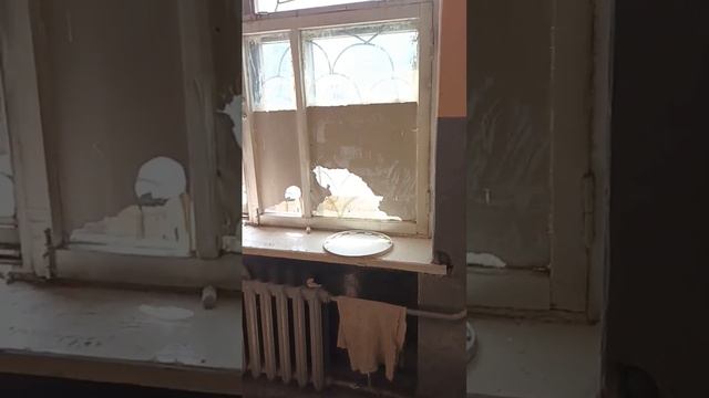 Состояние помещений РЭО ГИБДД МО МВД РФ "МИНУСИНСКИЙ" смотреть онлайн