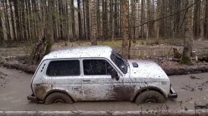 Нива на резине  я 569 медведь- ТАЩИТ!