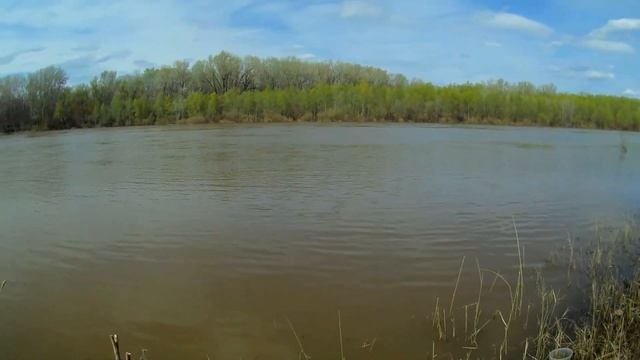 Открытие ФИДЕРНОЙ рыбалки в конце апреля на Урале. смотреть онлайн