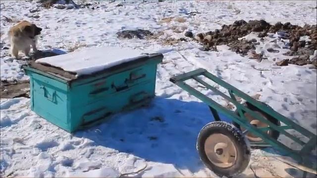самодельная универсальная тележка для деревни или дачи смотреть онлайн
