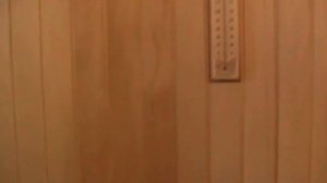 Печь в бане с топкой из предбанника