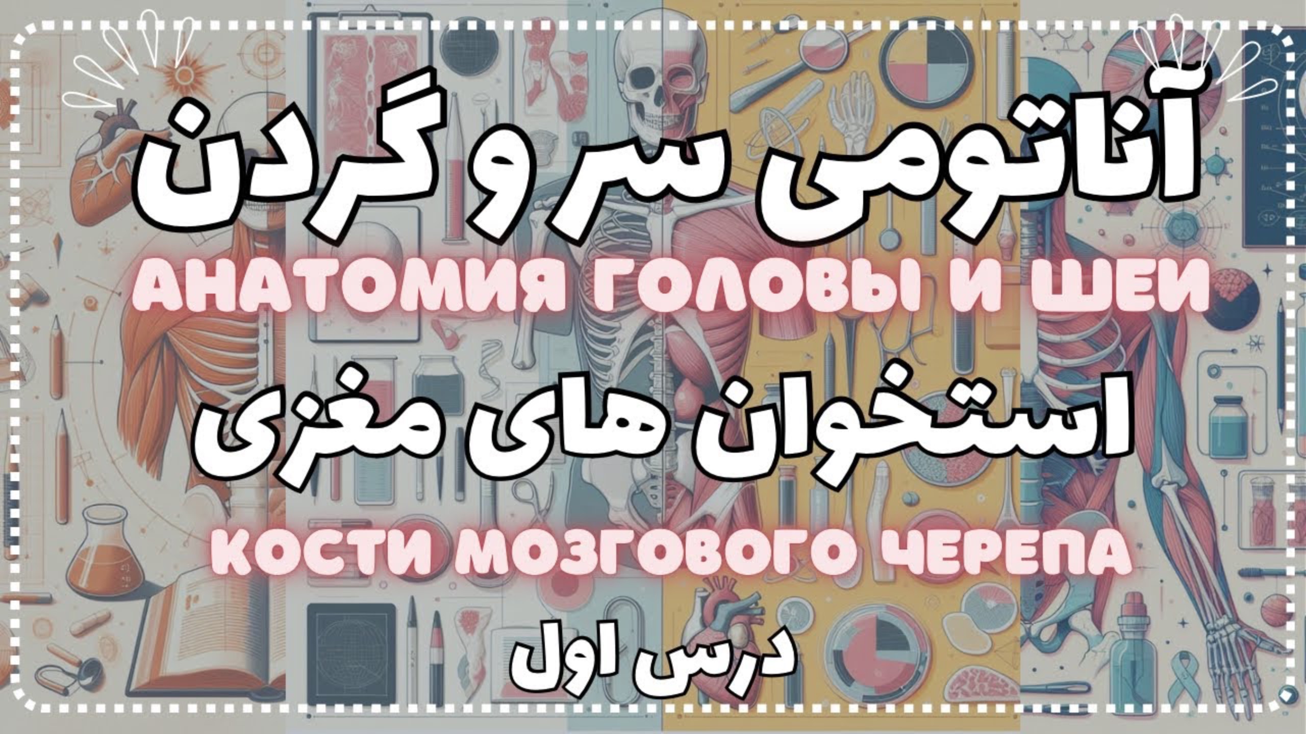 آناتومی سر و گردن مبحث استخوان های مغزی ( درس اول )