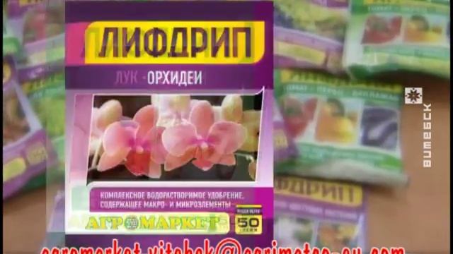 Удачи на даче (46 выпуск, 09.03.2017) смотреть онлайн