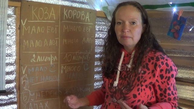 СПОР МЕЖДУ КОЗОЙ И КОРОВОЙ//КОЗА ИЛИ КОРОВА КОГО КУПИТЬ?//СЕЛЬСКОЕ ХОЗЯЙСТВО//ФЕРМЕРСТВО//ФЕРМЕР смотреть онлайн