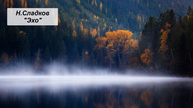 Н. Сладков "Эхо" смотреть онлайн